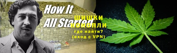 амф Бородино