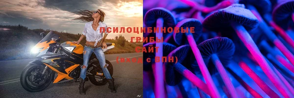амф Бородино
