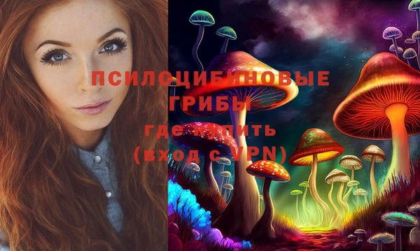 МДПВ Бугульма