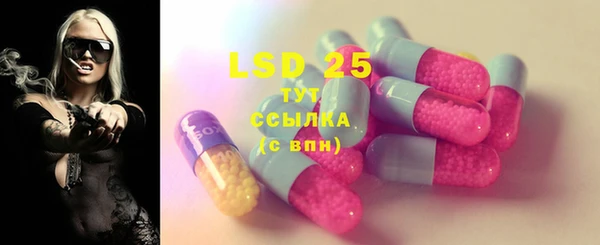 амф Бородино