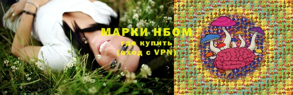 амф Бородино