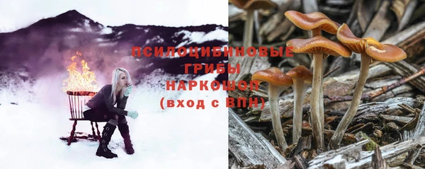 МДПВ Бугульма